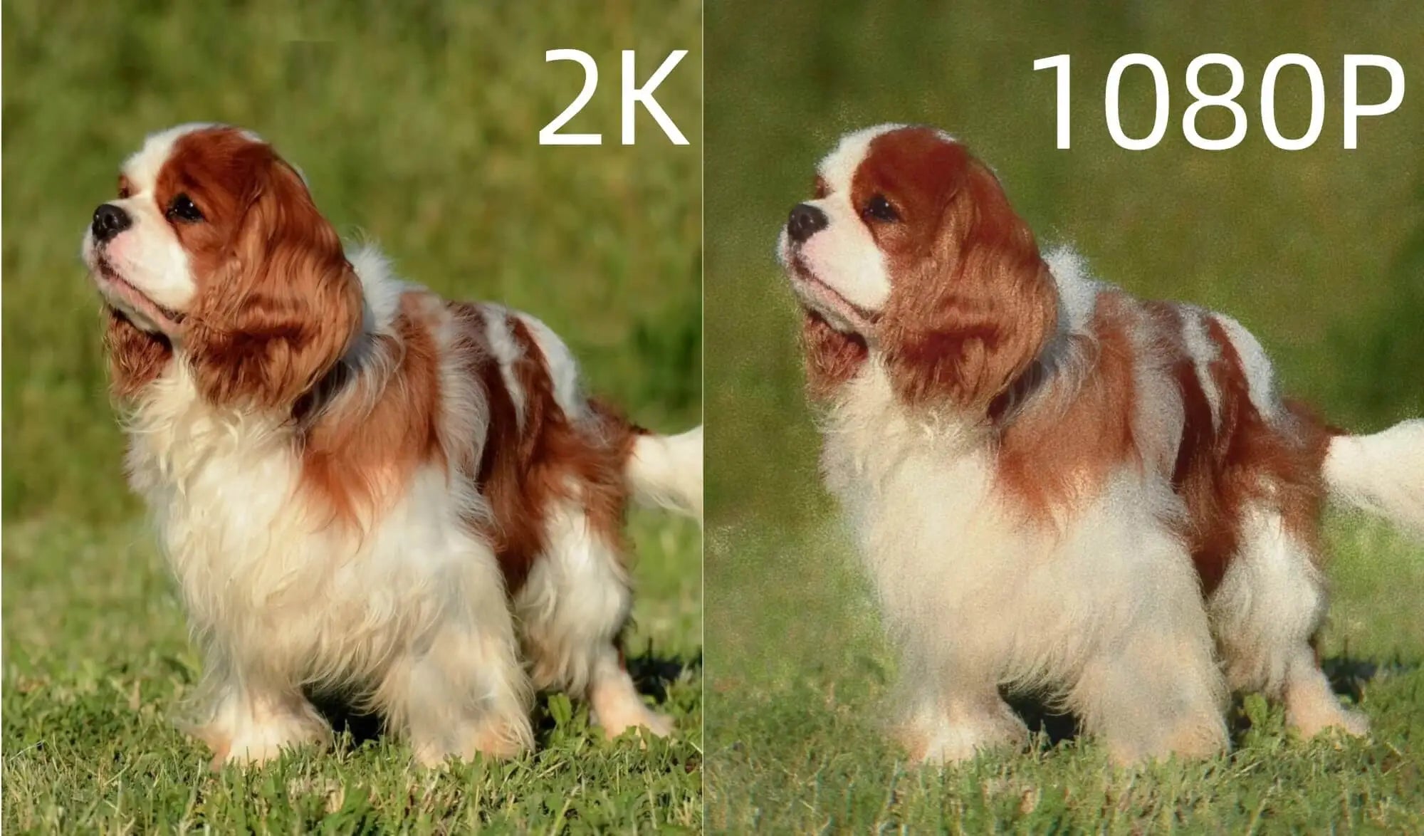 Is 2K Better Than 1080p?
